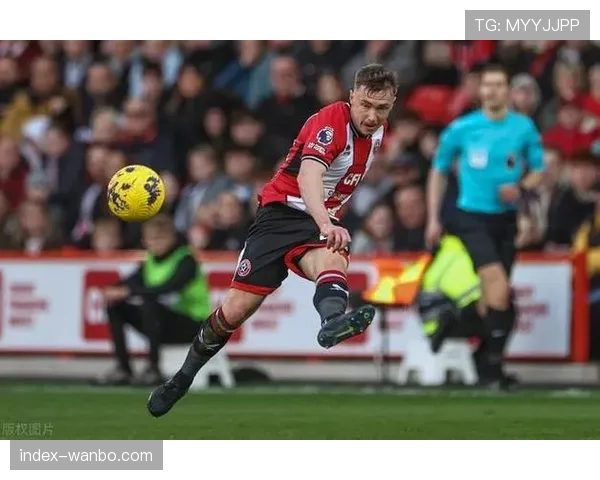 狼队近14战仅得2胜主场三连败困境持续布莱顿强势压制